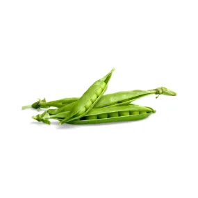 Bean Windsor Seeds | West Coast Seeds