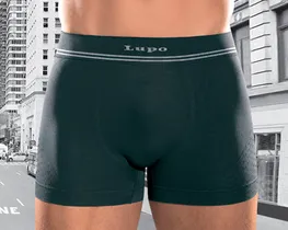 Lupo Men's Microfiber Boxer  Brief  673-2
