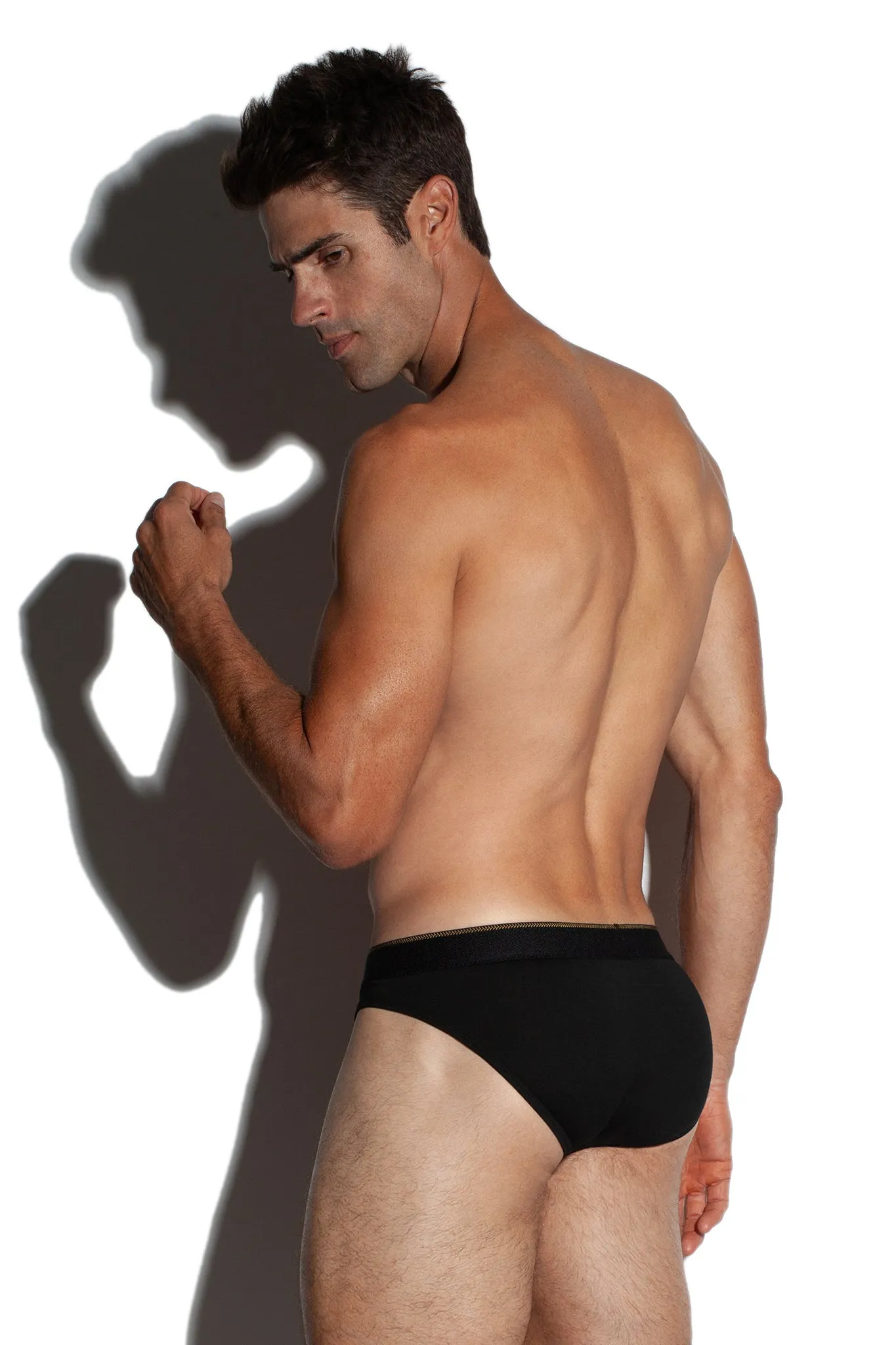 NOBLE PRESTIGE BRIEF