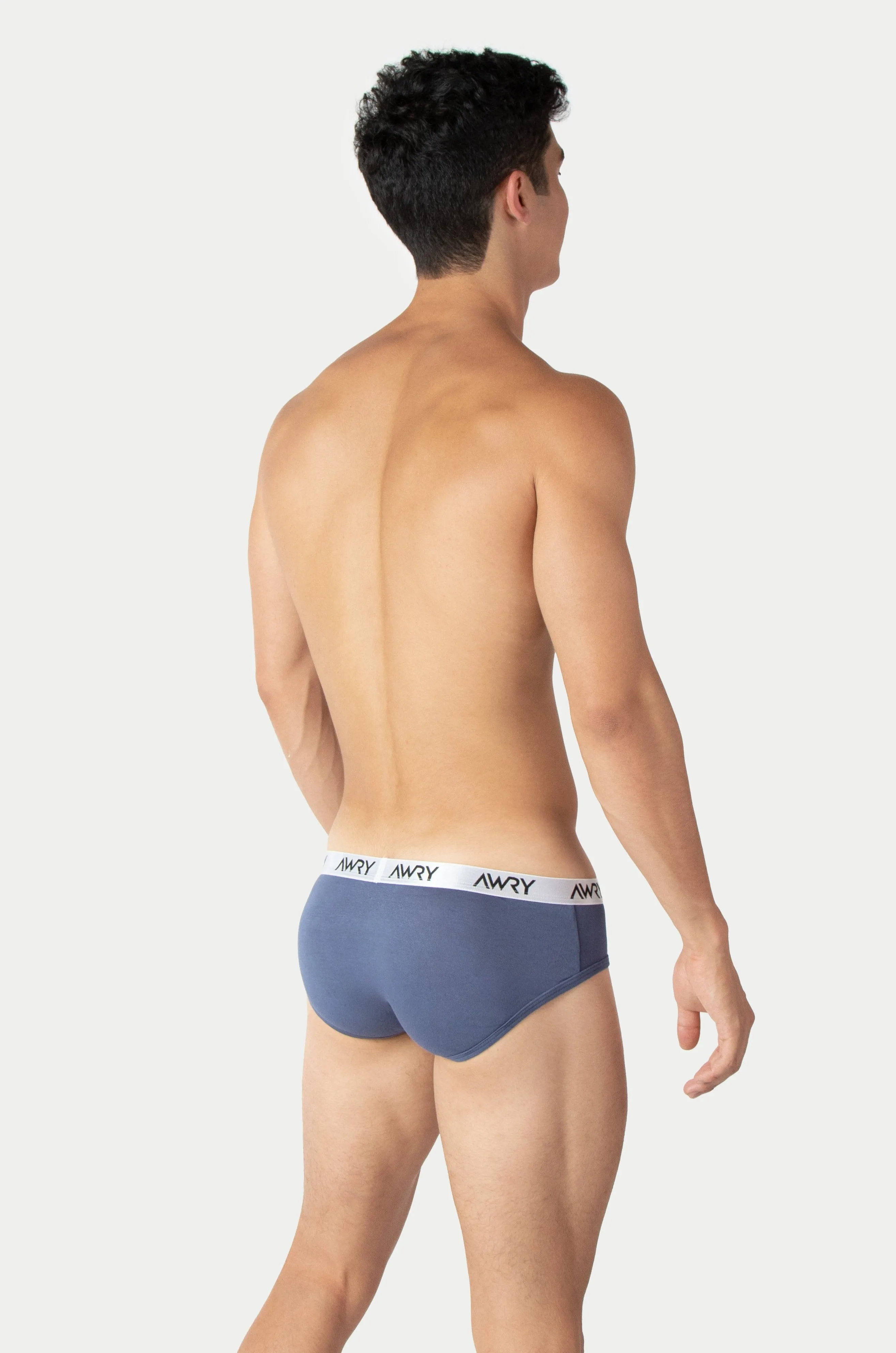 SIGNATURE Briefs - Stone Blue